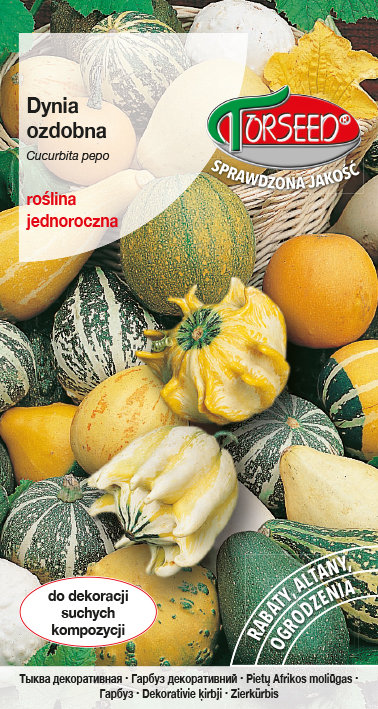 Nasiona Dynia ozdobna mieszanka 5g - Torseed