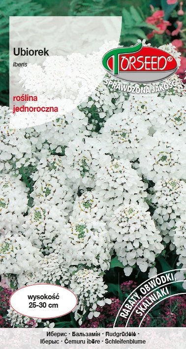 Nasiona Ubiorek biały - Torseed