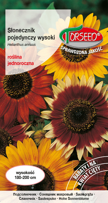Nasiona Słonecznik kwiatowy pojedynczy wysoki - Torseed