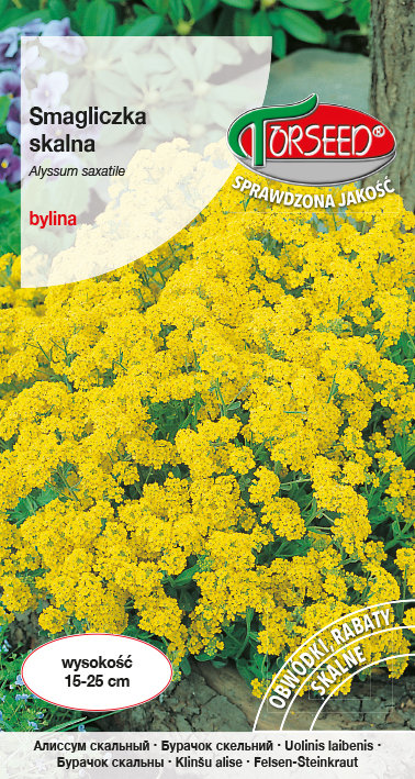 Nasiona Smagliczka skalna żółta 0,5g - Torseed