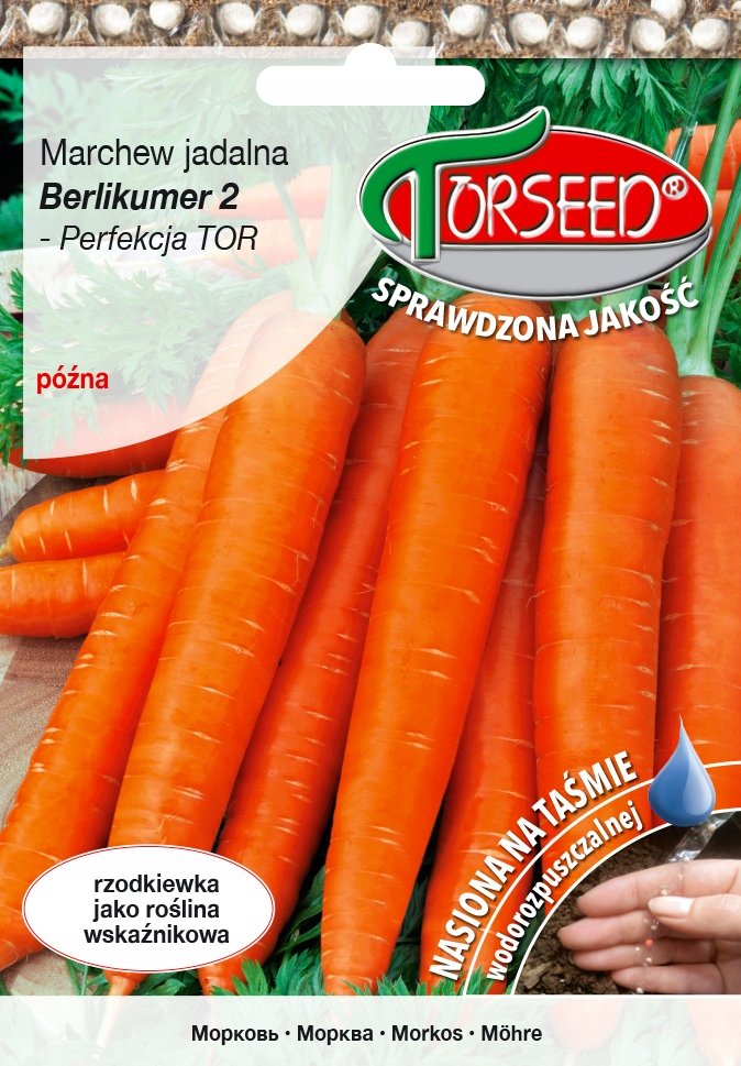 Nasiona Marchew Berlikumer 2 - Torseed
