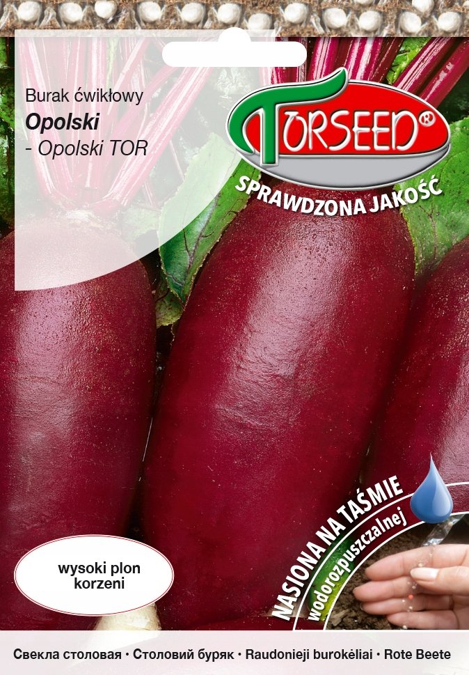 Nasiona Burak ćwikłowy Opolski TAŚMA 100szt - Torseed