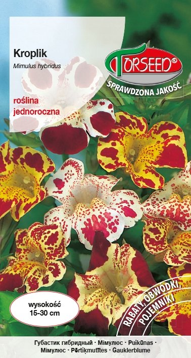 Nasiona Kroplik mieszanka 0,25g - Torseed