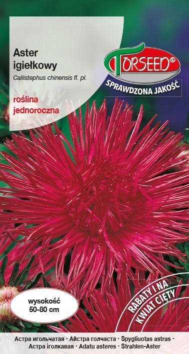 Nasiona Aster wysoki igiełkowy wiśniowoamarantowy - Torseed