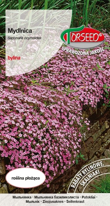 Nasiona Mydlnica różowoczerwona 0,5g - Torseed