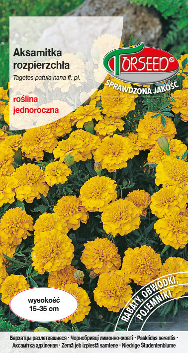 Nasiona Aksamitka rozpierzchła niska żółta 1g - Torseed