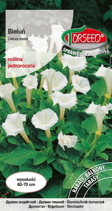 Nasiona Bieluń biały - Torseed