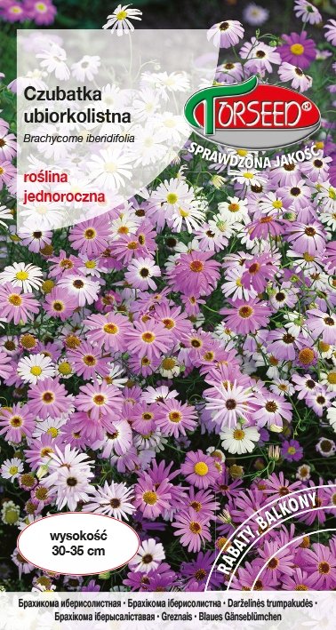 Nasiona Czubatka ubiorkolistna mieszanka 0,2g - Torseed