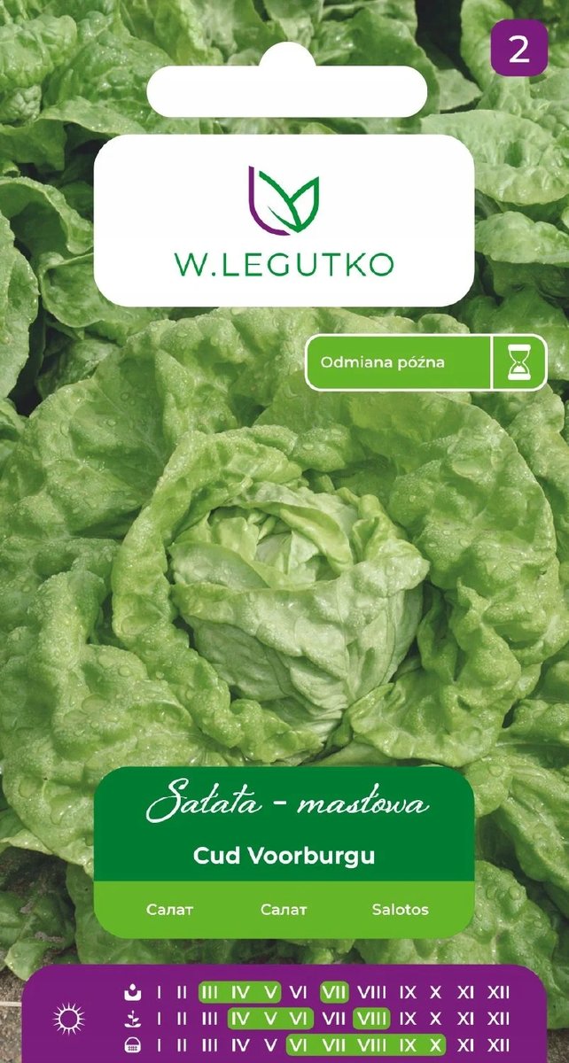 Nasiona Sałata Cud Voorburgu 1g - W.Legutko