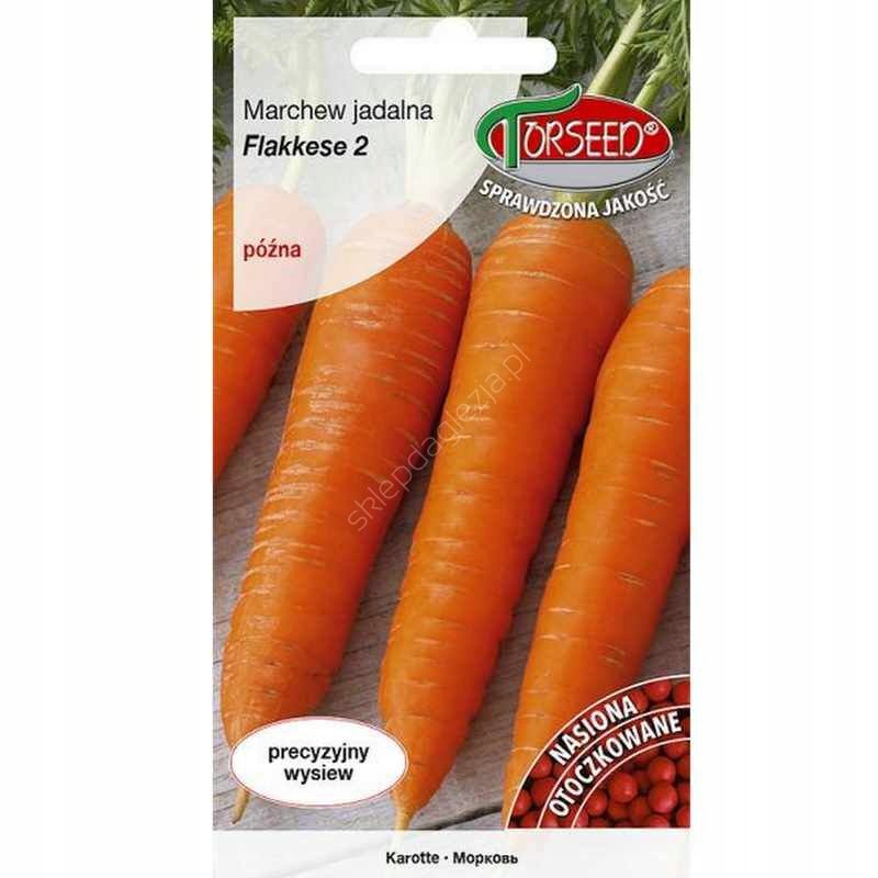 nasiona Marchew Flakkese 2 Flacoro TOR 300 nasion Otoczka - Torseed
