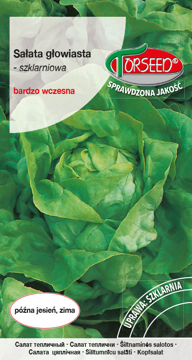 Nasiona Sałata szklarniowa Anielka 1g - Torseed