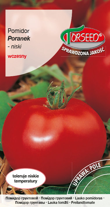 Nasiona Pomidor gruntowy Poranek 0,5g - Torseed