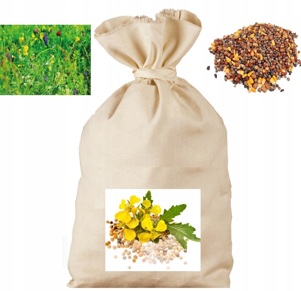 Mieszanka poplonowa 1kg - Agro Bracia