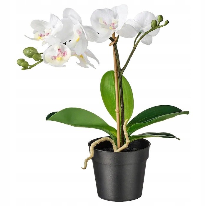IKEA Fejka Sztuczna Roślina Doniczkowa Orchidea