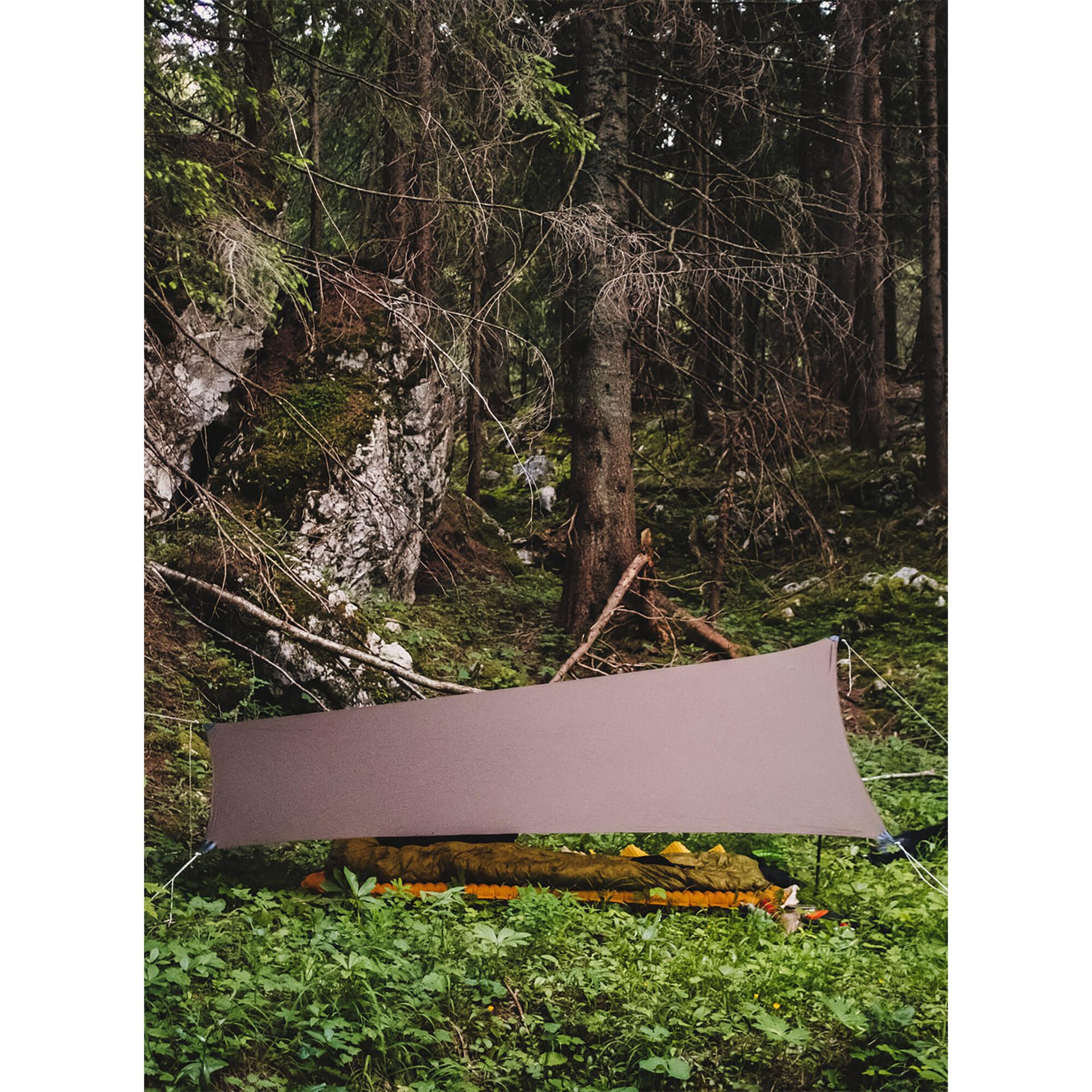 Tarp Lesovik Zmora walnut brown
