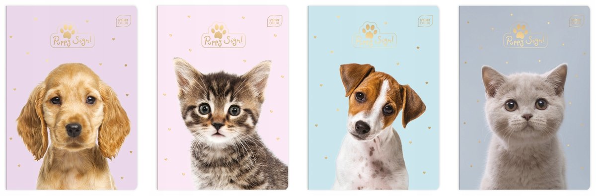 Zeszyt w kratkę A5 16 kartek PIES KOTEK MIX 1 SZT