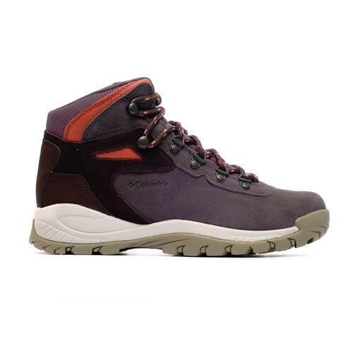 Columbia Damskie buty trekkingowe Newton Ridge Plus, 1, Zlew drewniany, 36 EU