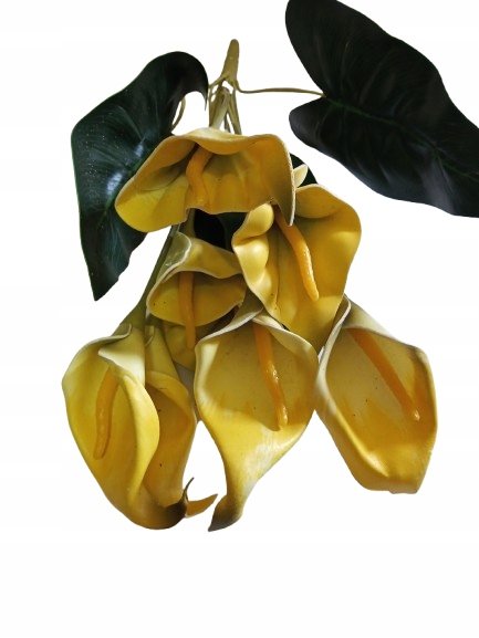 Kalia bukiet żółty 50cm