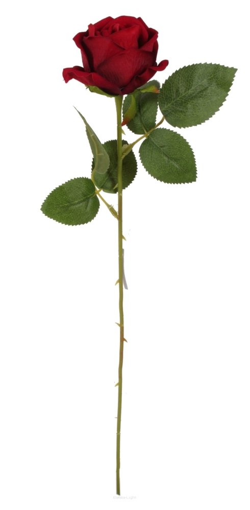 Kwiat róża pojedyńcza na łodydze 46 cm