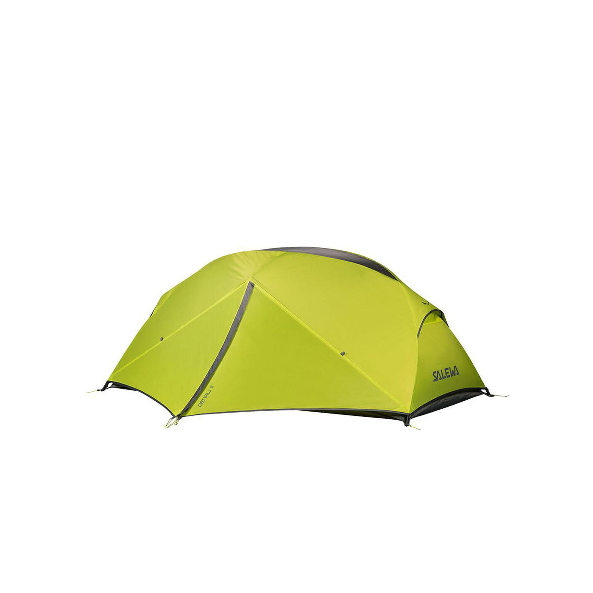 Salewa DENALI III