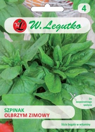 Szpinak Zimowy Olbrzymi DO MROŻENIA nasiona 20g