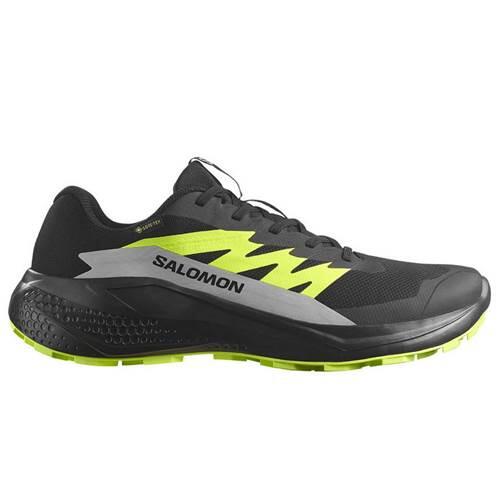 Buty do biegania dla mężczyzn Salomon Alphaglide Gore-Tex Rozmiar butów (UE): 44 / Kolor: czarny/szary