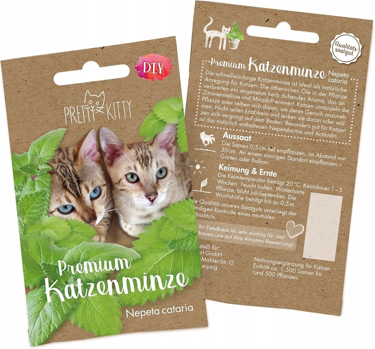 Pretty Kitty kocimiętka właściwa 1000 nasion do uprawy rośliny dla kotów