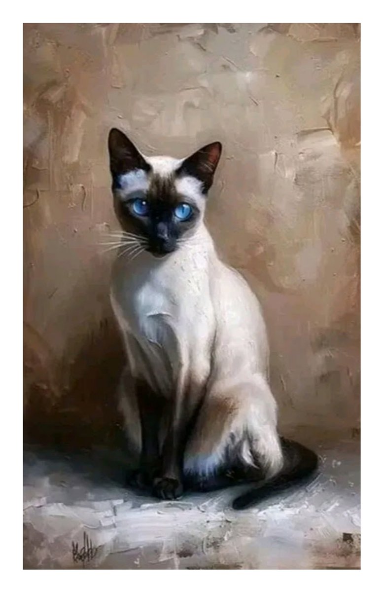 DIAMENTOWA PASJA Obraz Diamentowy Haft Diamentowy Mozaika Diamentowa KOT KOTY KOTKI