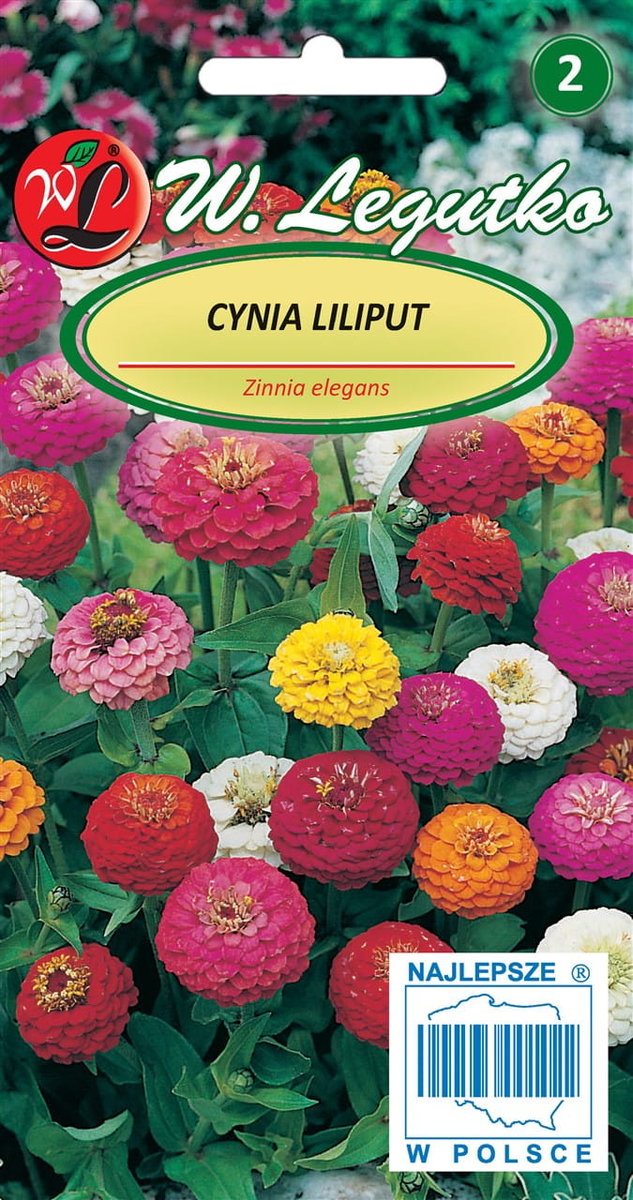 Cynia Karłowa Liliput kolorowa mieszanka 1g nasion