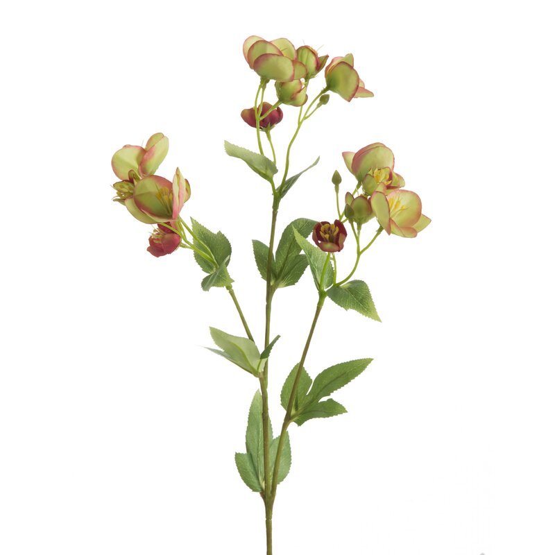 Kwiat dekoracyjny, EUROFIRANY, Natu, zieleń i róż