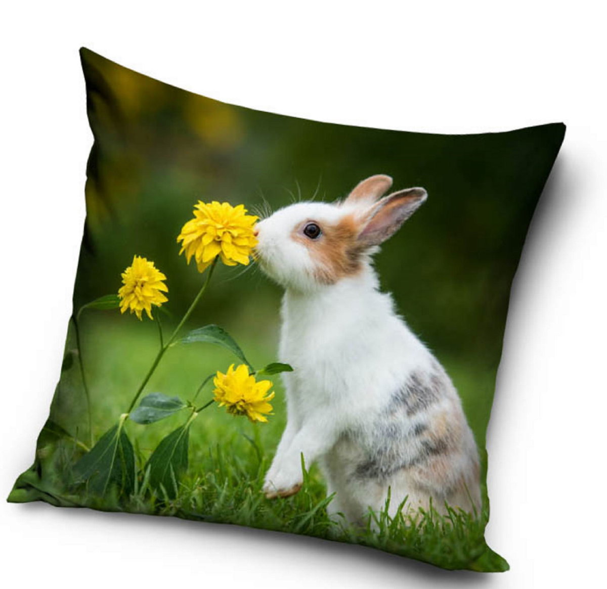 Poszewka na jasiek 40x40 królik z królikiem