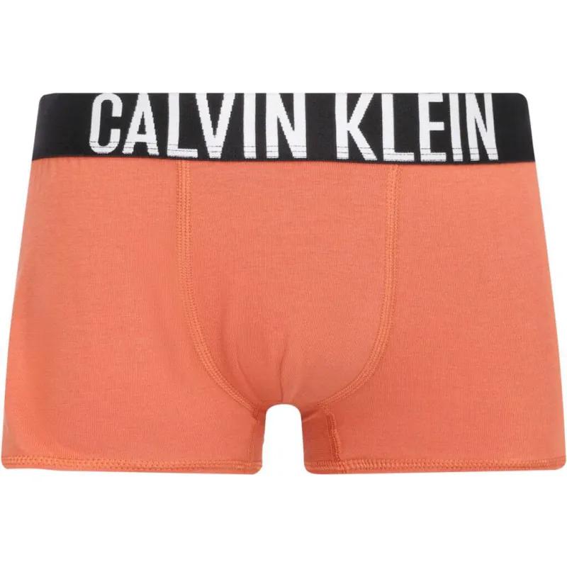 Calvin Klein Underwear Bokserki 2-pack