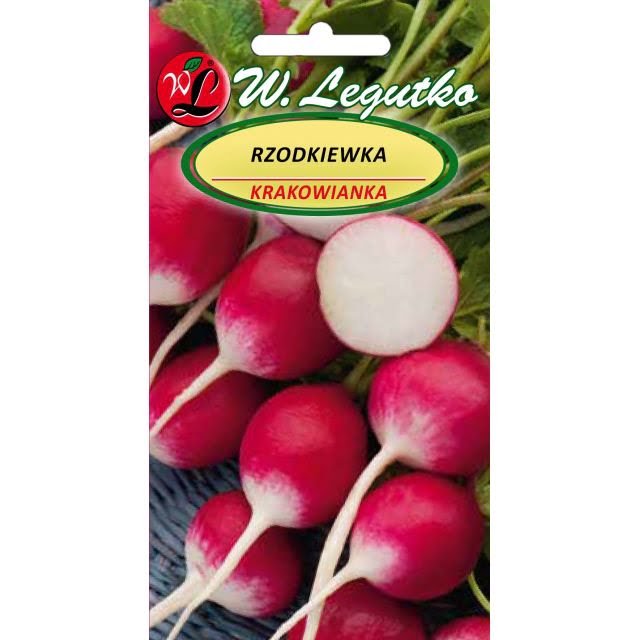 RZODKIEWKA KRAKOWIANKA