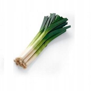 Por Blauwgroene Winter nasiona 1 g