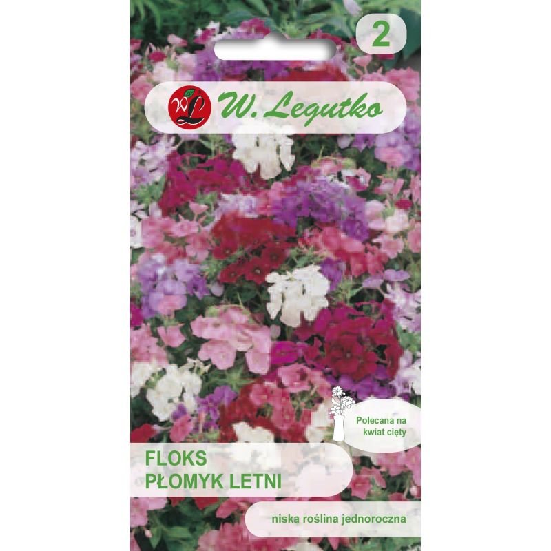 Floks Płomyk Letni mieszanka kolorowych kwiatów
