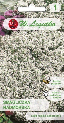 Nasiona Smagliczki nadmorskiej Biała 0,5g Legutko