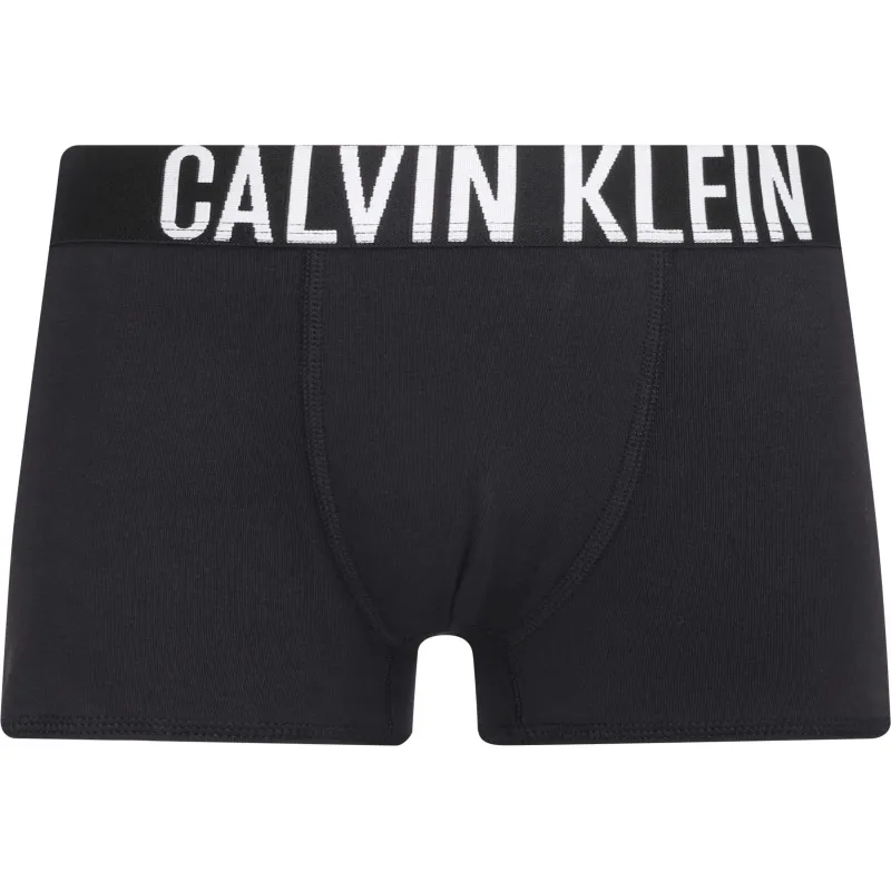 Calvin Klein Underwear Bokserki 2-pack