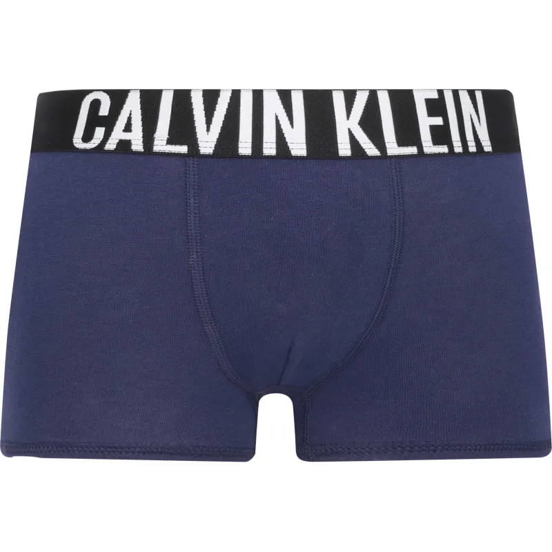Calvin Klein Underwear Bokserki 2-pack