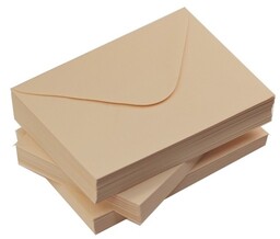 Koperty łososiowe C6 80g/m2 10 szt nr31 1234-C6