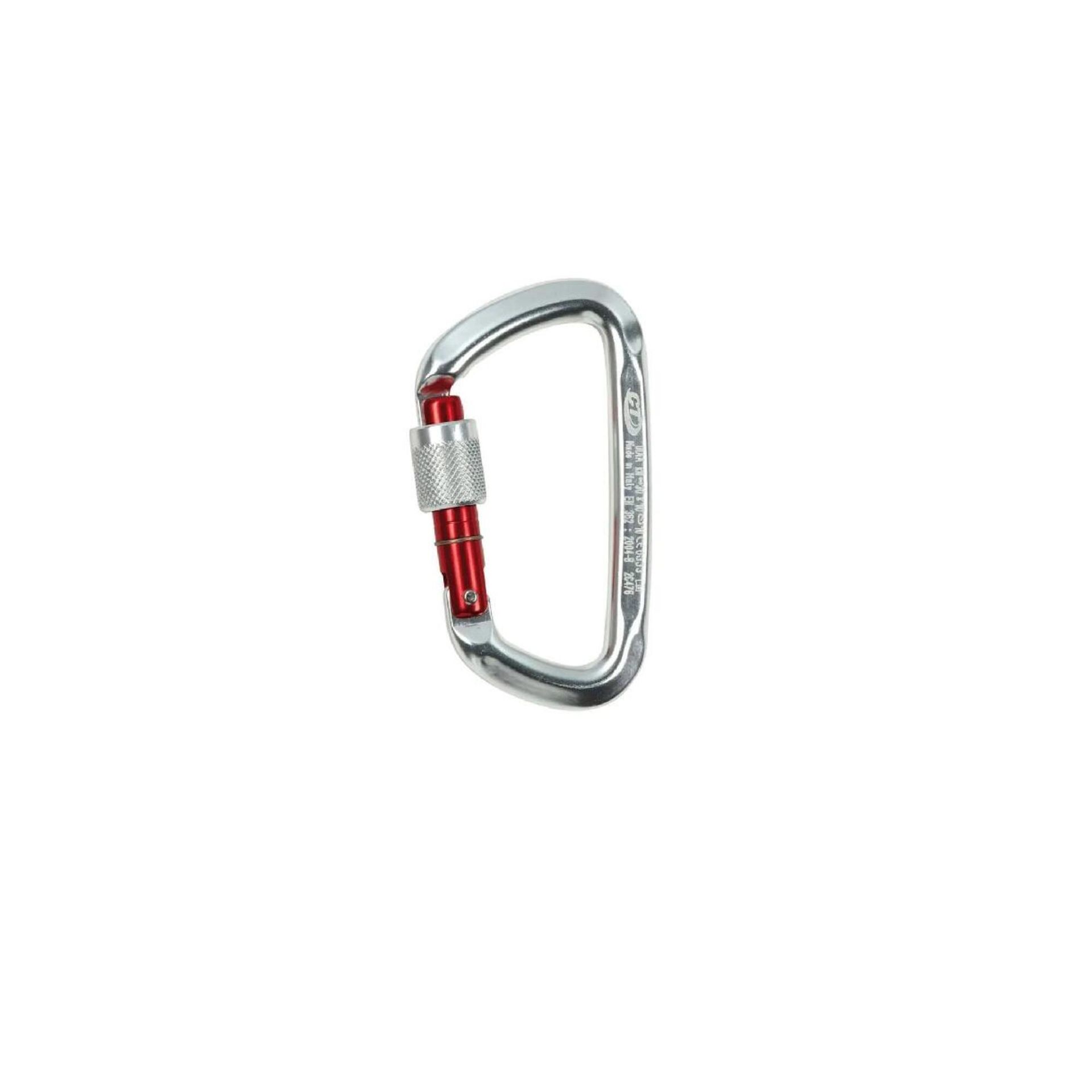 Climbing Technology D-shape SG Carabiner Silver/Reed Gate 2017 karabińczyk 2C47600XTNCTSTD