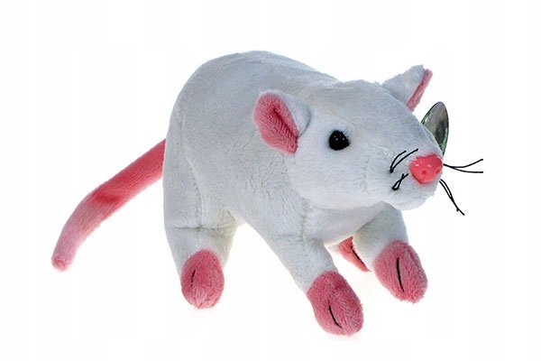 Pluszowe ZOO: maskotka Szczur biały 19cm (69440)