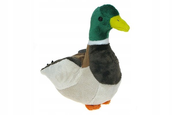 Pluszowe ZOO: maskotka Kaczka krzyżówka 21cm (69389B)