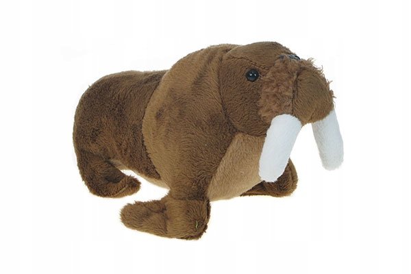 Pluszowe ZOO: maskotka Mors arktyczny 20cm (65579)