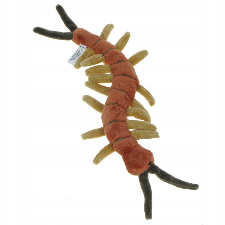 Pluszowe ZOO: Maskotka Skolopendra (stonoga) 33cm (69963)