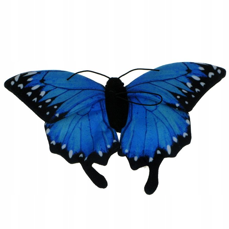 Barwne Zoo: Maskotka Motyl niebieski (Morpho Peleides) 25cm x 14cm (92834)
