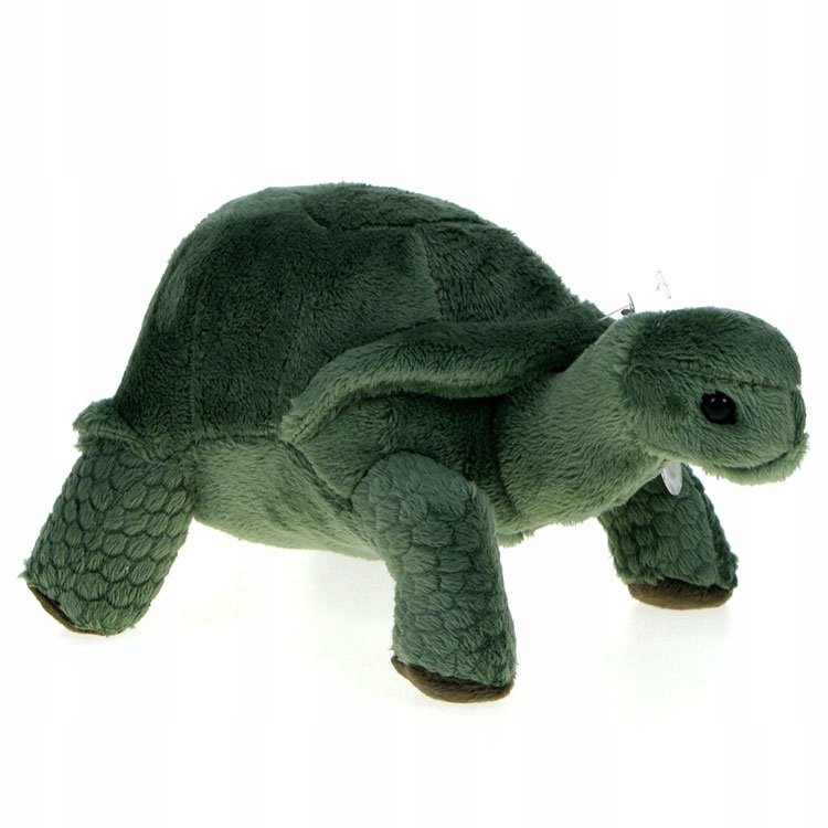 Pluszowe ZOO: maskotka Żółwik, Żółw lądowy 20cm (69372) zielony
