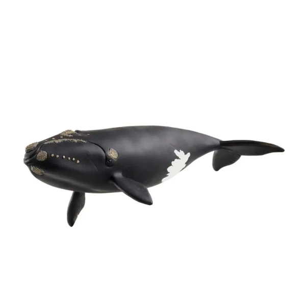 Wieloryb biskajski - SCHLEICH