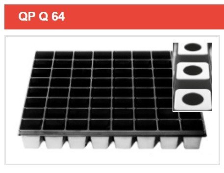 QP Q 64 - Multiplaty - Karton 25. Sztuk