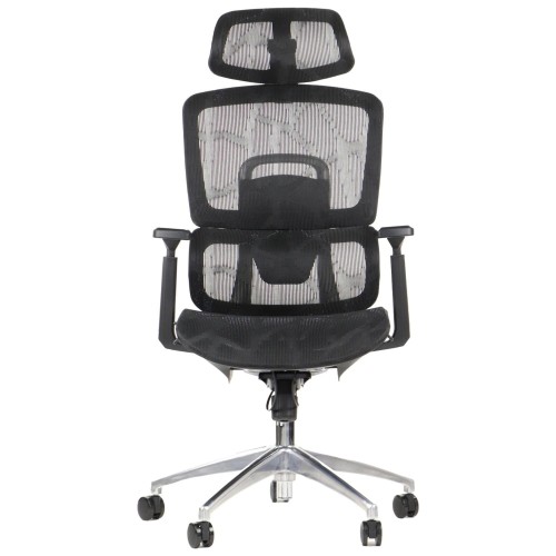 Ergonomiczne krzesło obrotowe/biurowe ErgoNew A1 - regulowane oparcie, podłokietniki i zagłówek, siedzisko siatkowe, podstawa aluminiowa