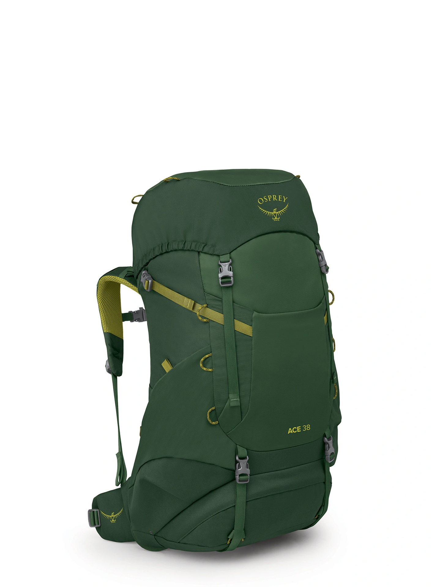 Plecak turystyczny dla dziecka Osprey Ace 38 - green canopy